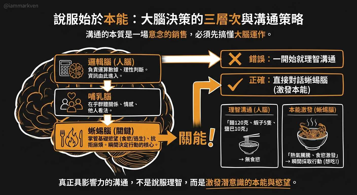 看懂大腦的三層運作機制,把想法精準銷售出去
